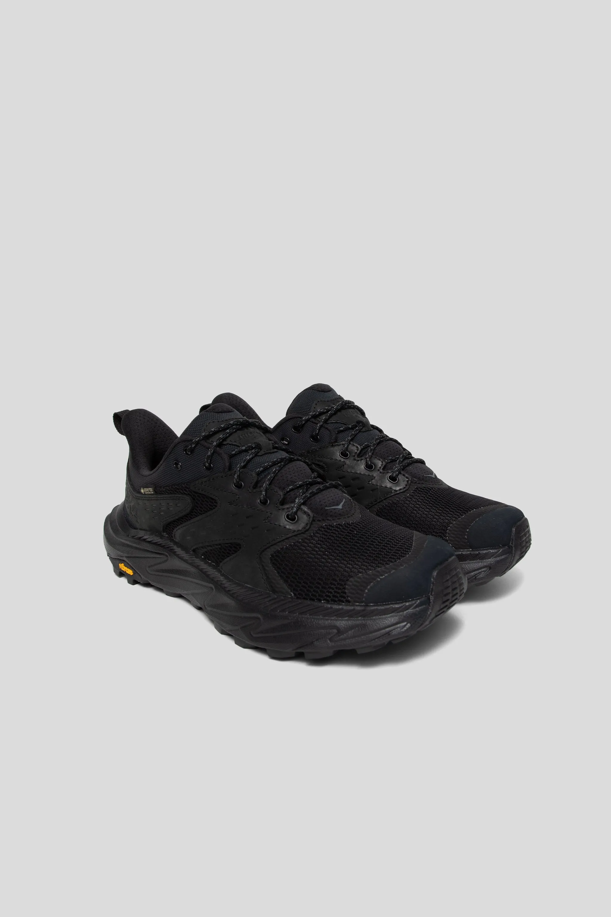 Anacapa 2 Low GTX - Black